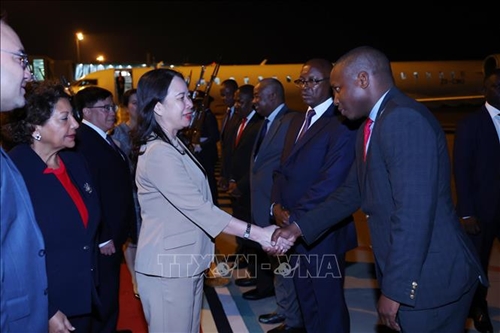 Phó chủ tịch nước Võ Thị Ánh Xuân thăm chính thức Cộng hòa Mozambique